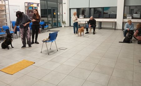 Каністерапія в дії