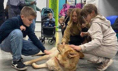 Vcentri HUB — Pet-Friendly  